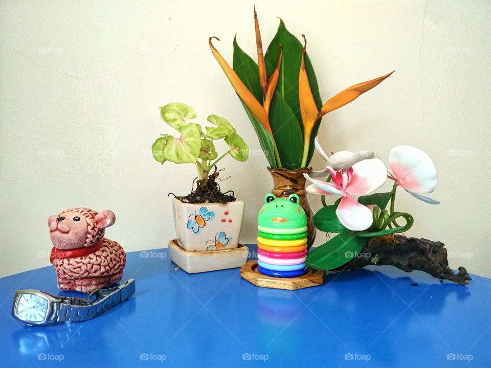 Plants and decoration on the table