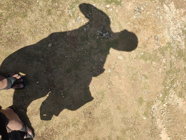 a shadow