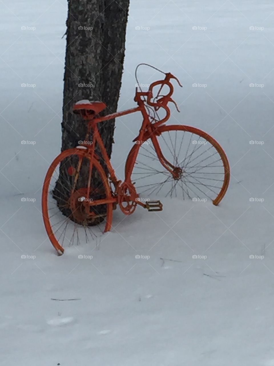 For the bike lovers out there a little pop of orange on a winter white day 