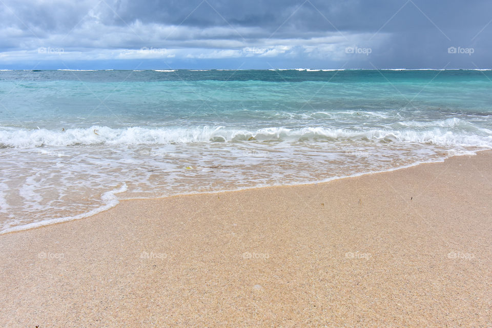 natural landscape at the beach
