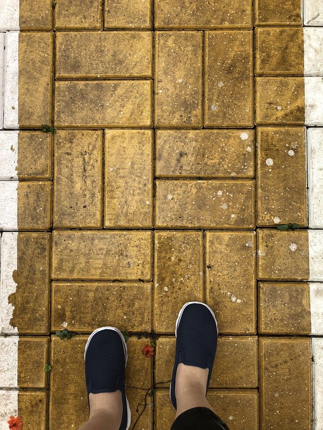 Follow the yellow brick road 