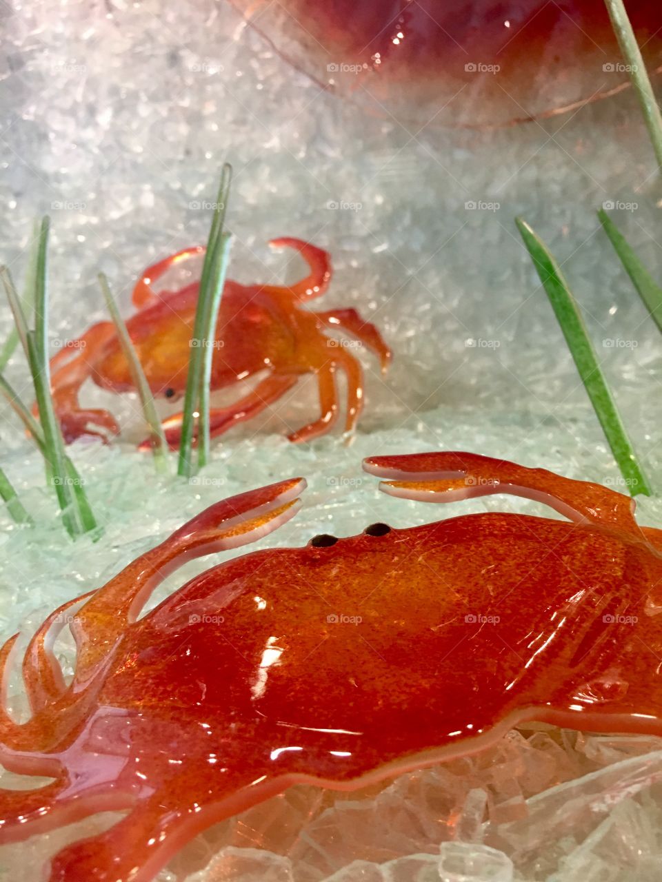 Glass crabs 
