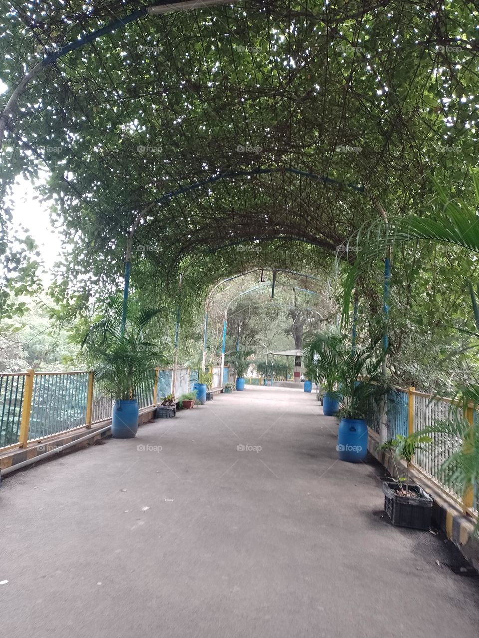 let's go with flow..