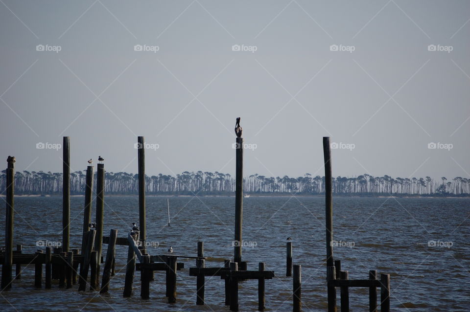 Mississippi coast