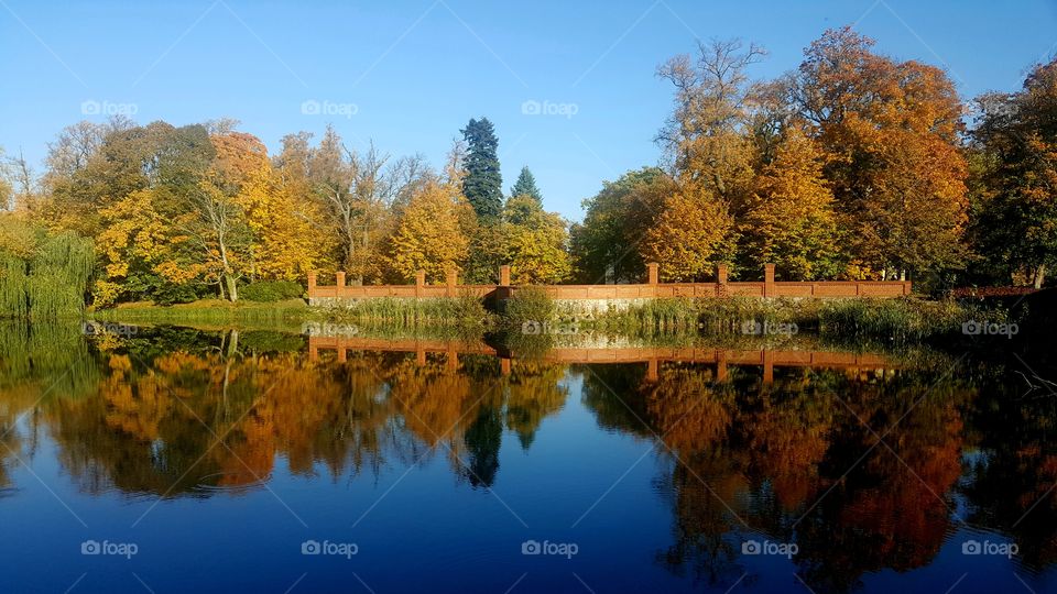 Autumn in the park around the castle in Krokowa (Poland) on a sunny day.
