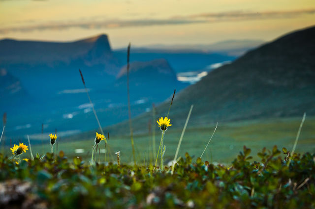 Small in a big world