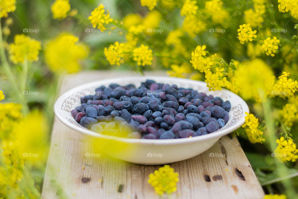 Honeysuckle