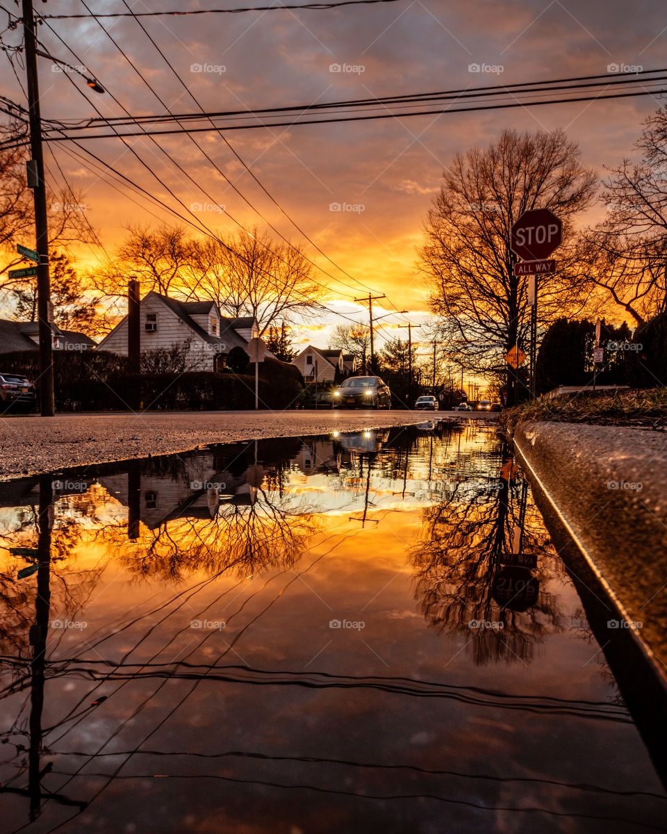 Sunset following a summer storm with brilliant warm colors reflecting in a puddle on the ground. 