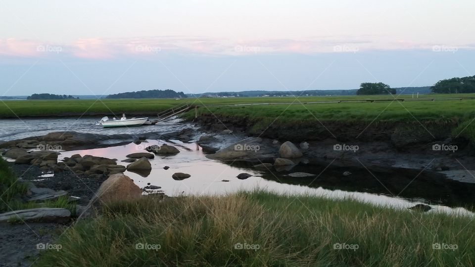 marshland. coastal New England Marsh