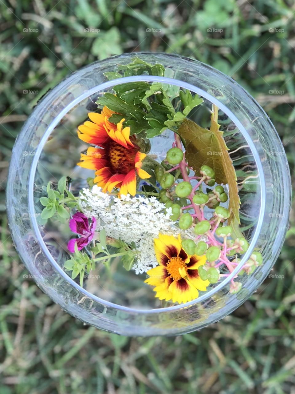 Flower in a glass