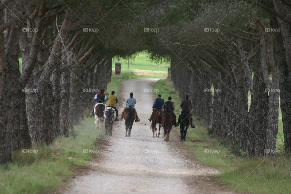 View of horse riding