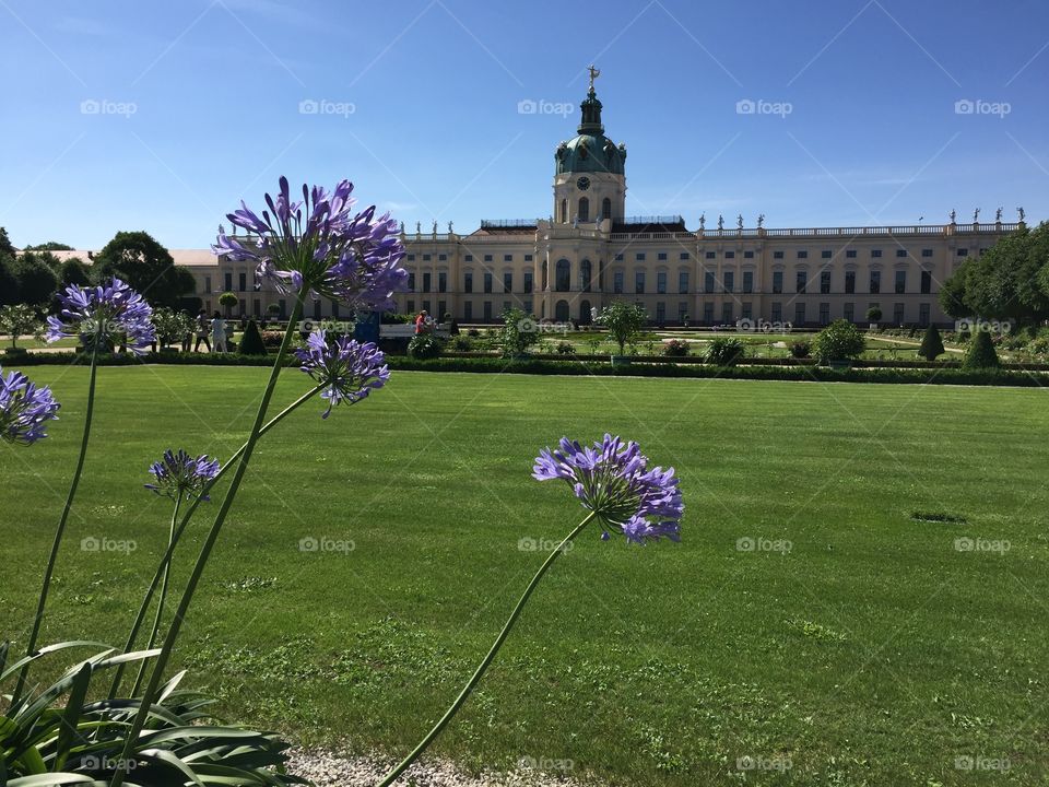 Charlottsburgh Palace With flowers