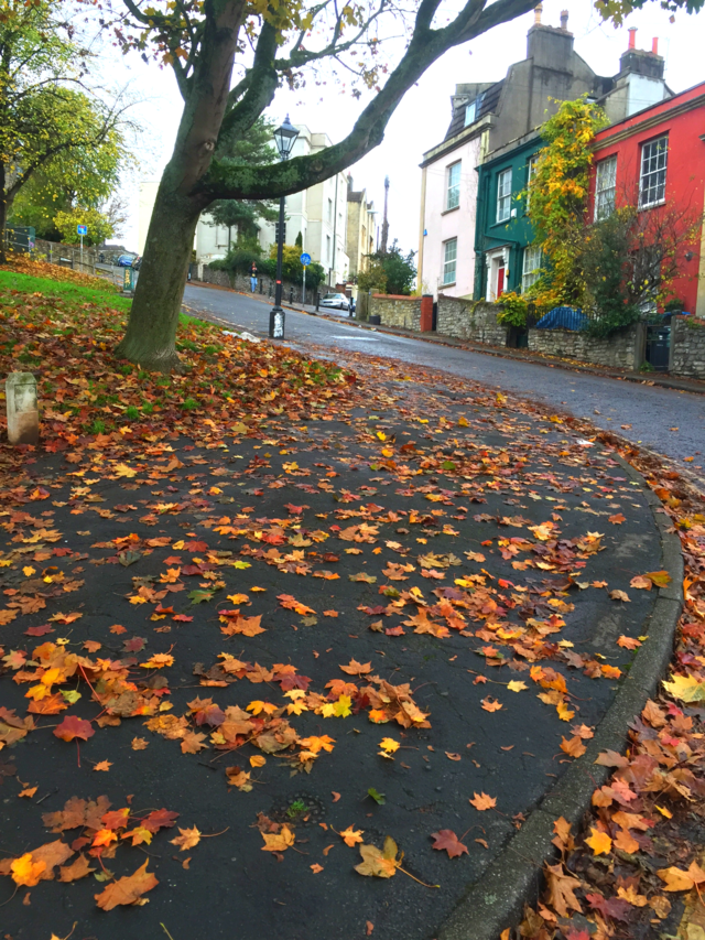 The fall of orange 