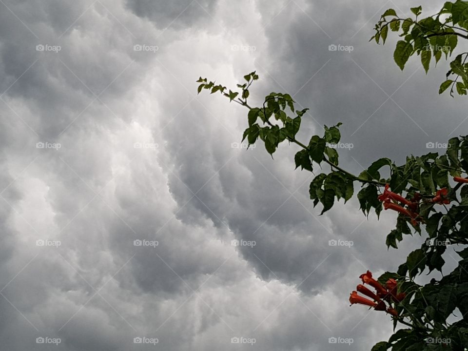 Calm before the storm