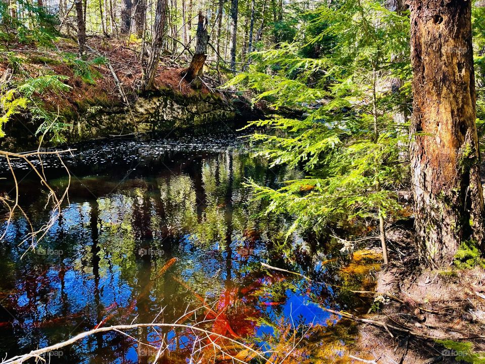 Deep Hole.  A dark pool along a river shows the color beneath the surface and the reflection above.