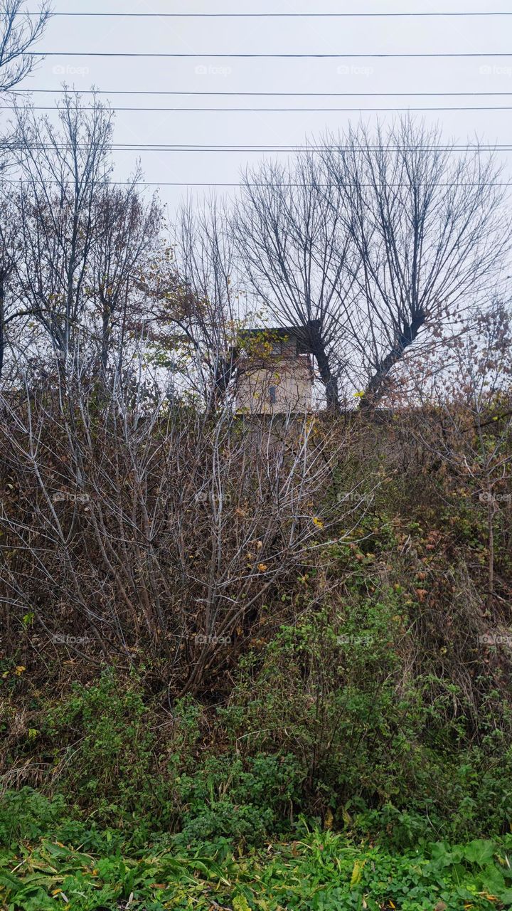 Paskutiniai rudens akcentai