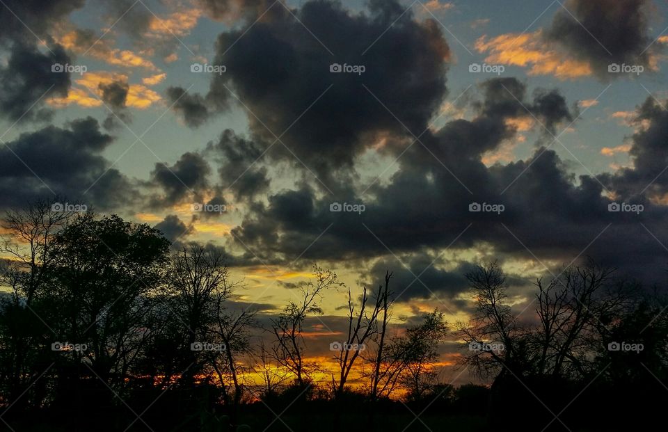 Silhouette of trees against storm cloud