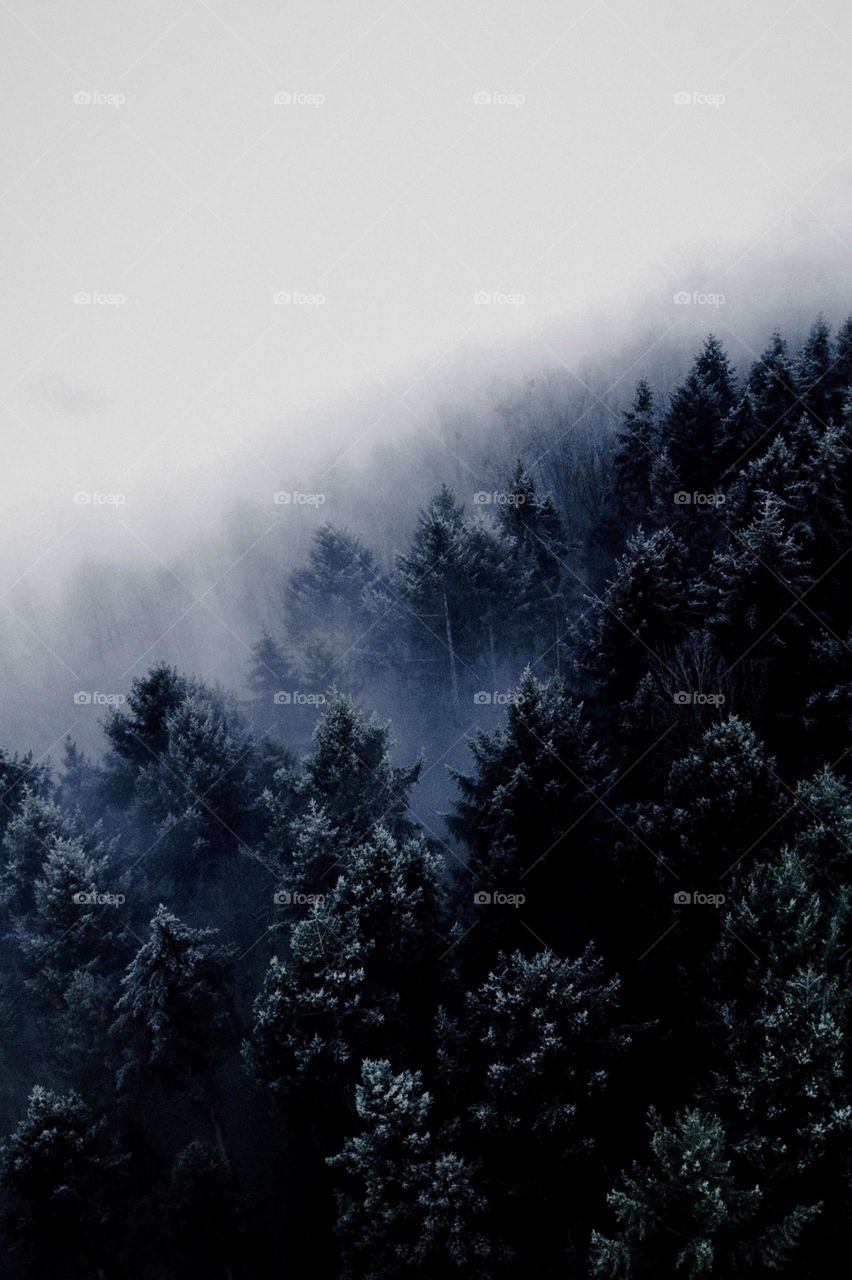 Naturel beauty place