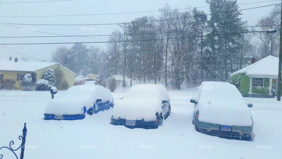 Snow covered cars in the driveway