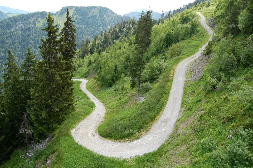 Road of the happyness