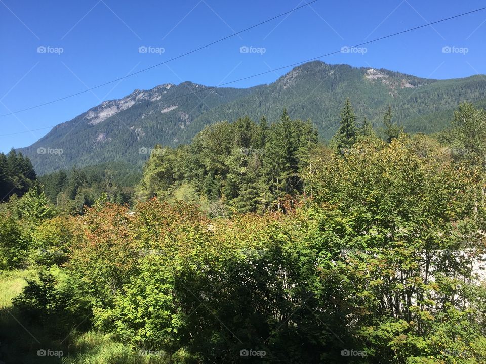 Landscape, Nature, Wood, Mountain, Tree