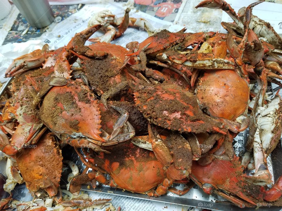 Maryland blue crabs turned red after steaming and doused with old bay