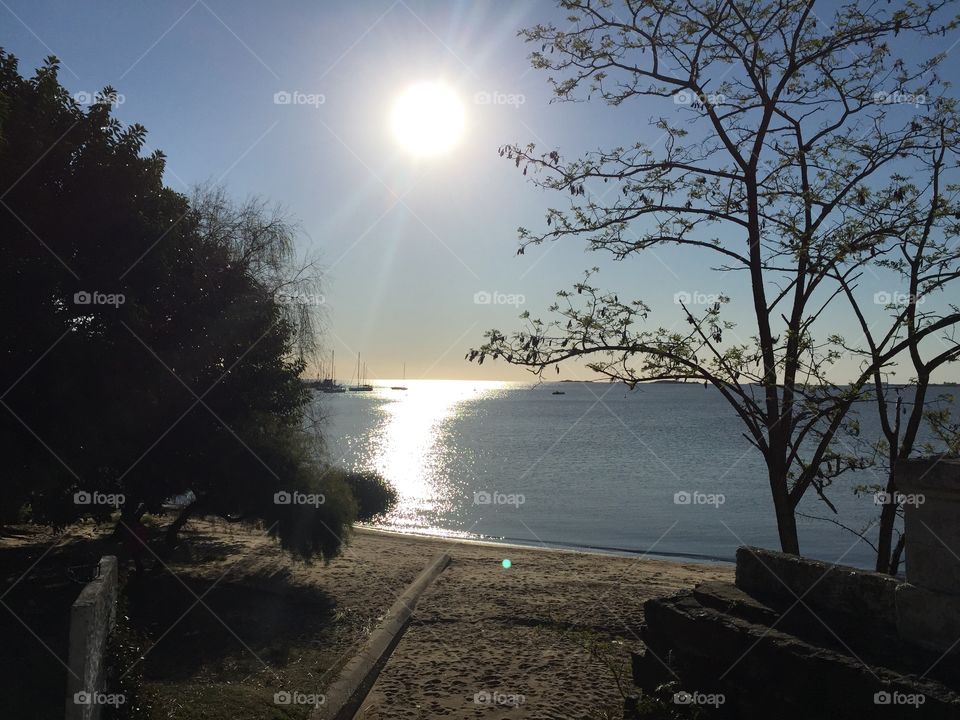 Atardecer rioplatense