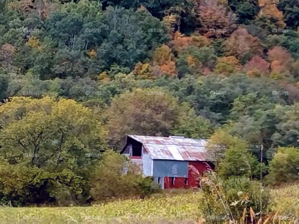 Driving the Back Roads and enjoying everything around us