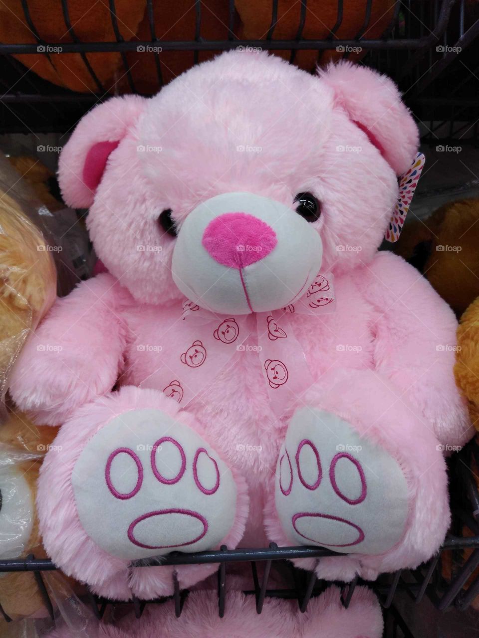 A cute pink teddy