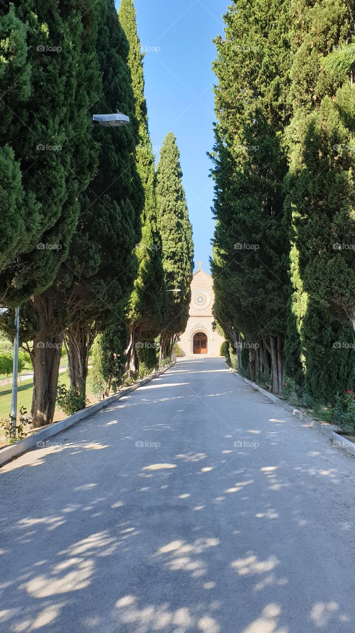 Santa Maria Delli Angeli, Assisi, It