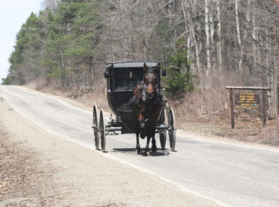 Amish buggy