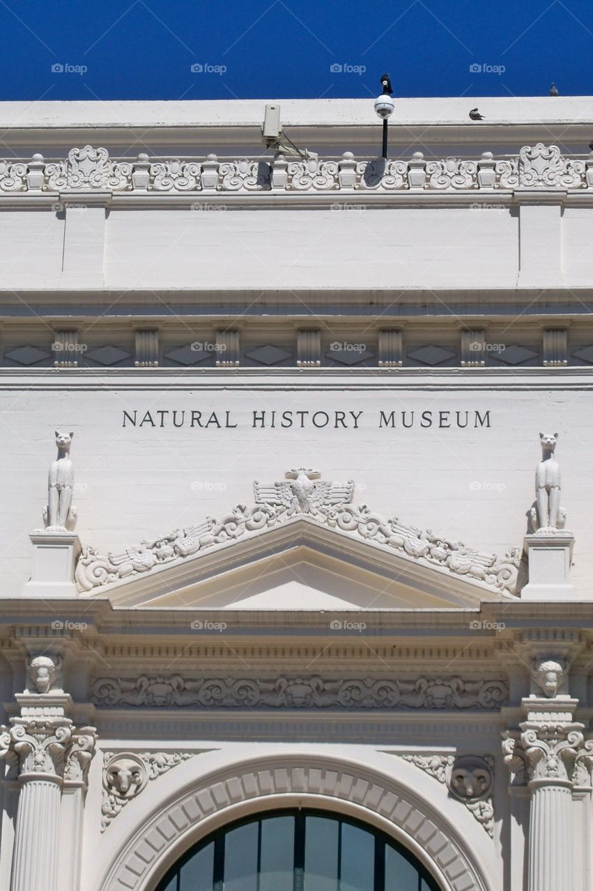 San Diego Natural History Museum 