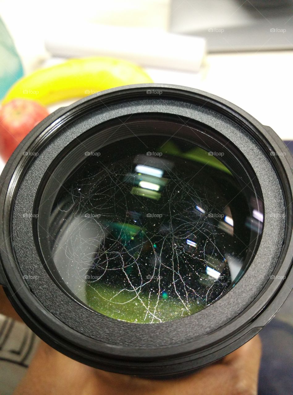 Fungus in camera lenses