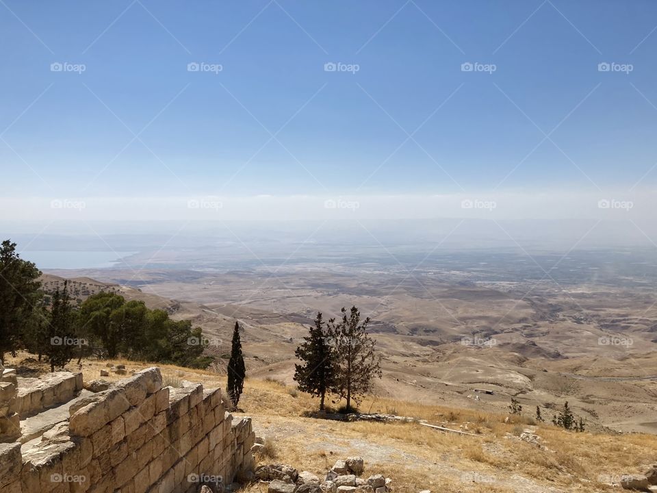 Nature on Mount Nebo in Madaba in Jordan