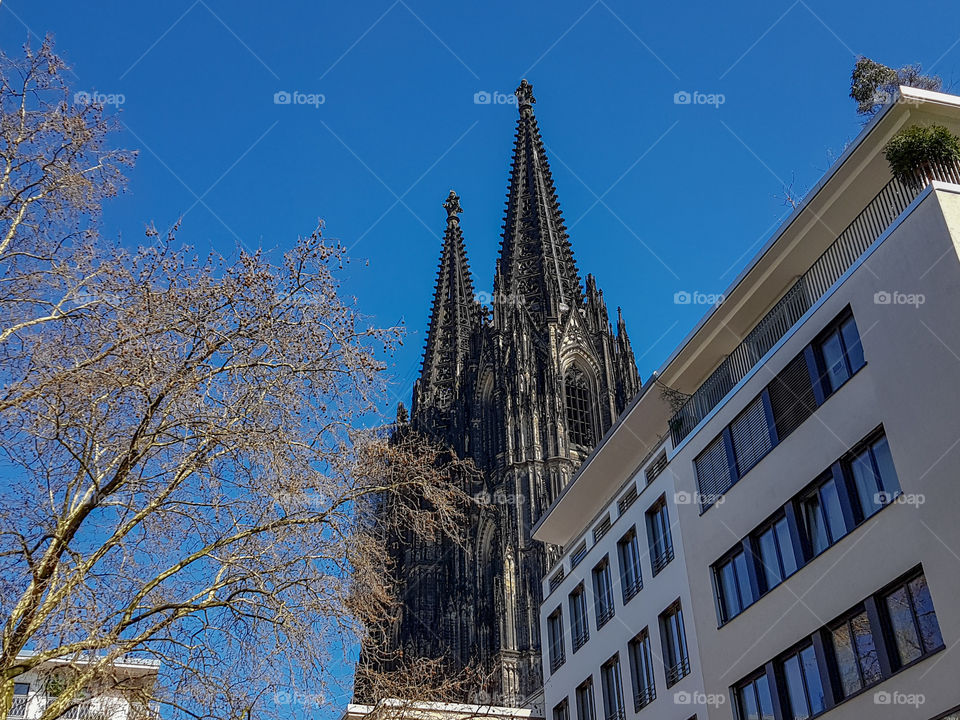 Kölner Dom bei bestem Wetter
