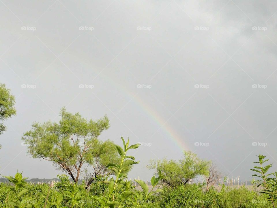 There's a rainbow always after the rain!