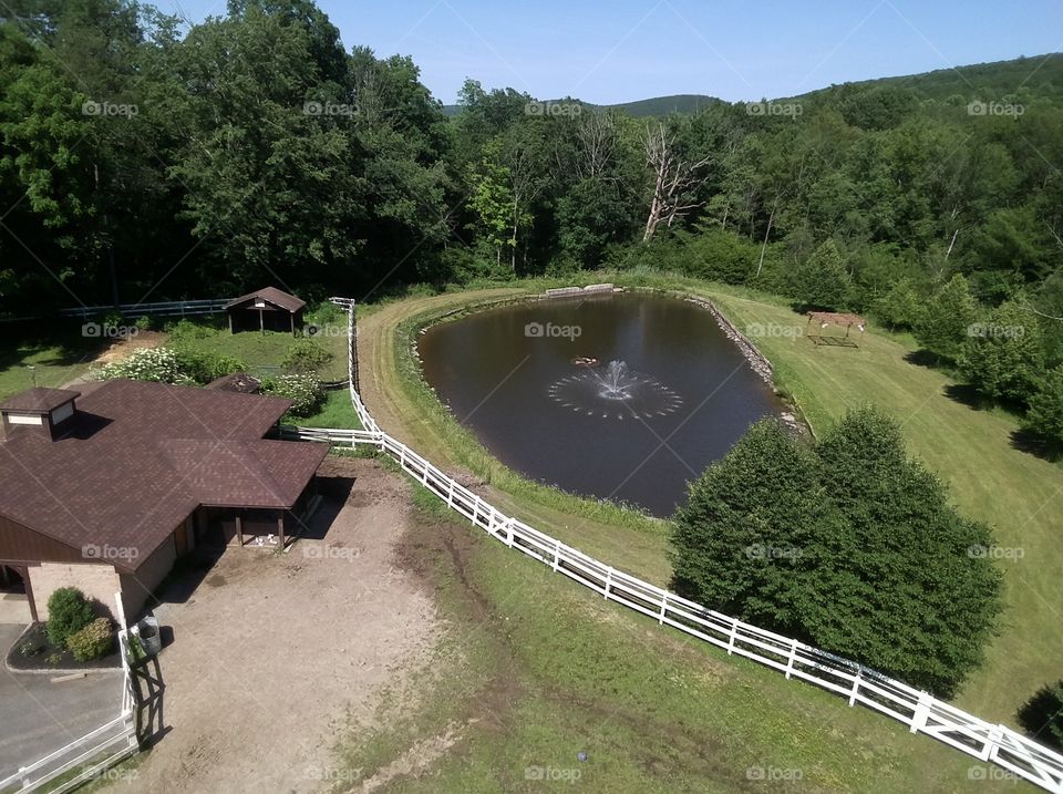 Horse farm pond