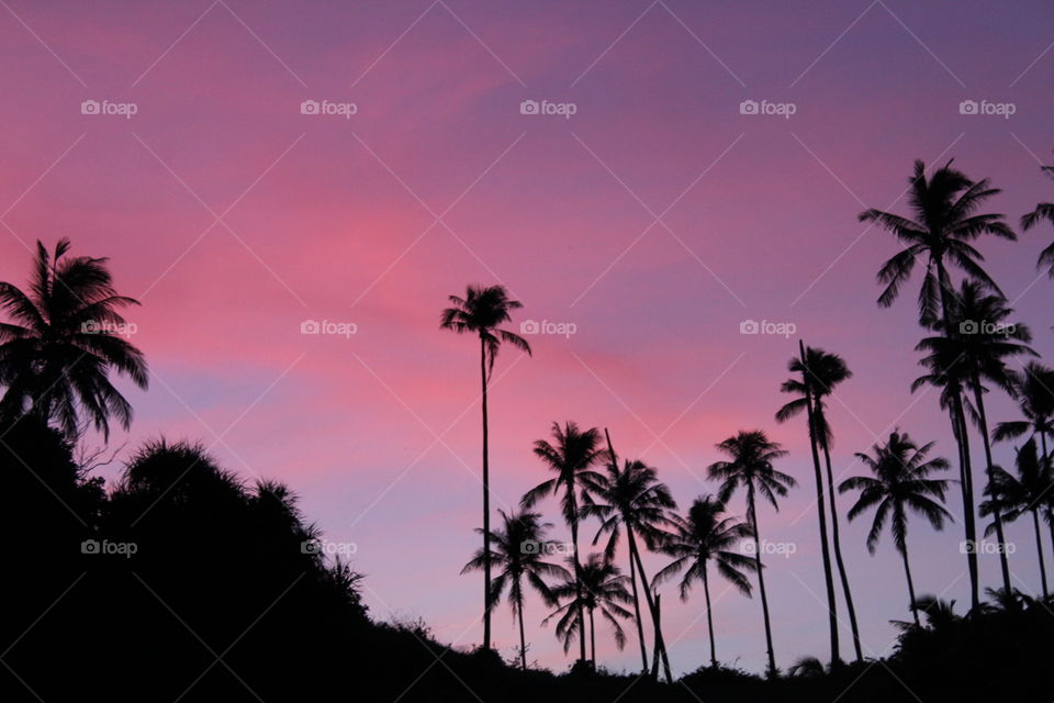 tropical sunrise