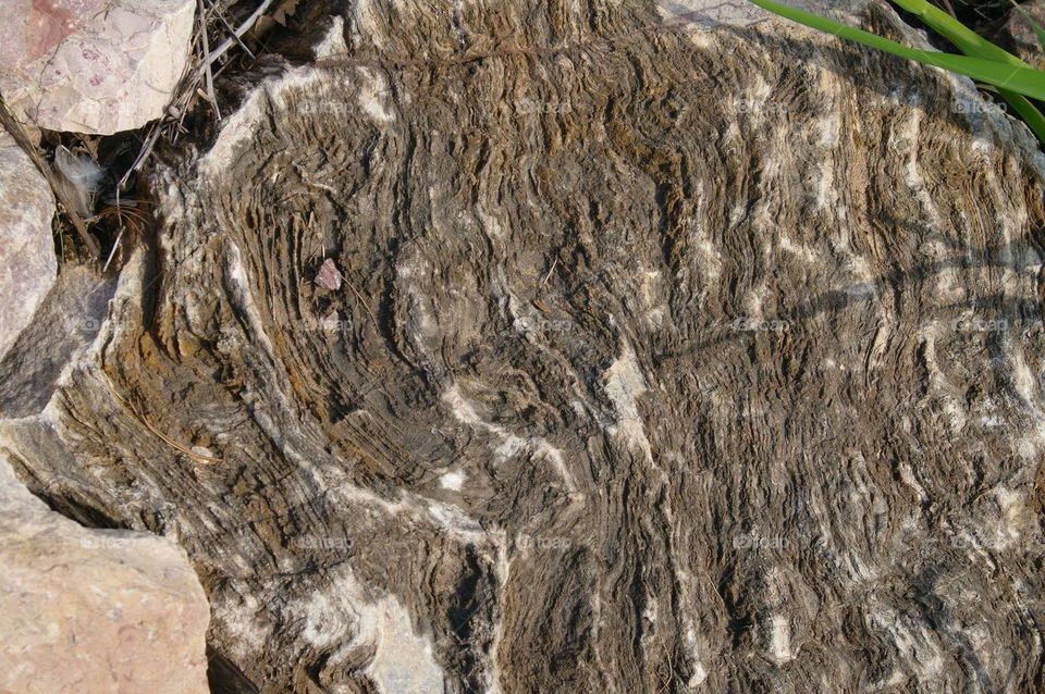 wood texture rock