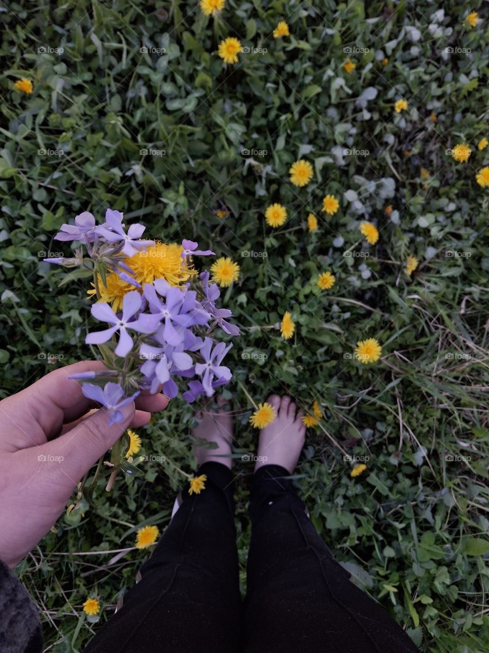 small bouquet of garden flowers in complementary colors, namely purple and yellow, on a background of green grass