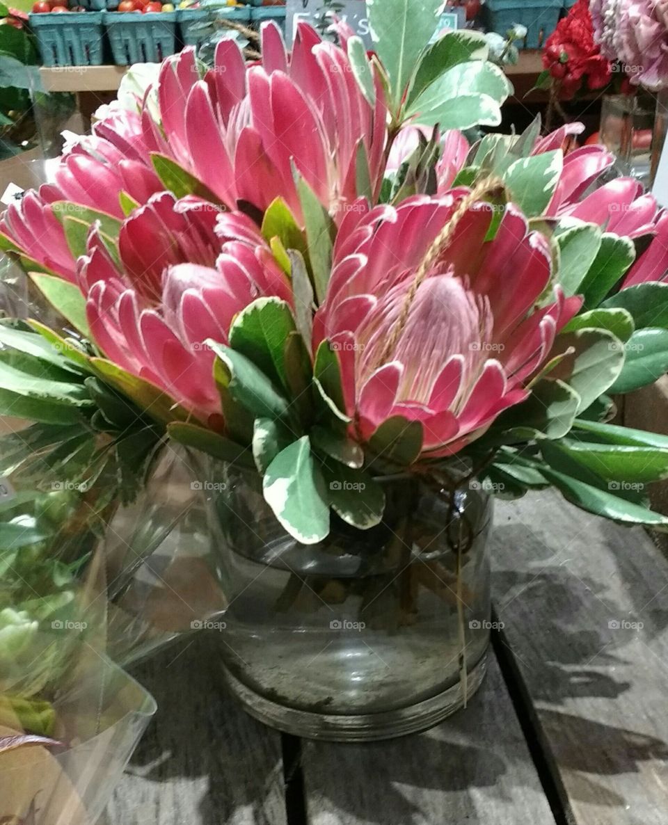 Floral Arrangement