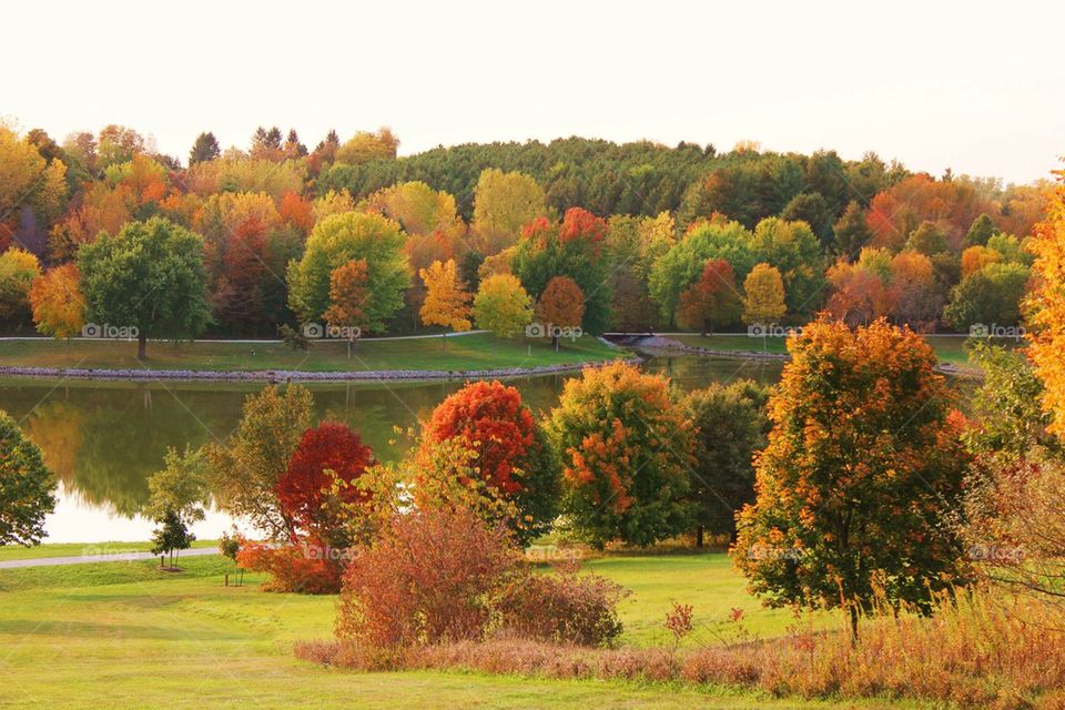 Autumn beauty 