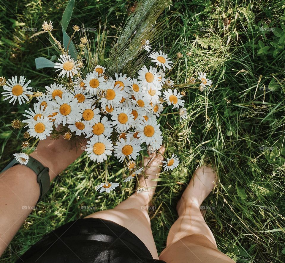 the girl holds in her hands a bouquet of white daisies collected near the village