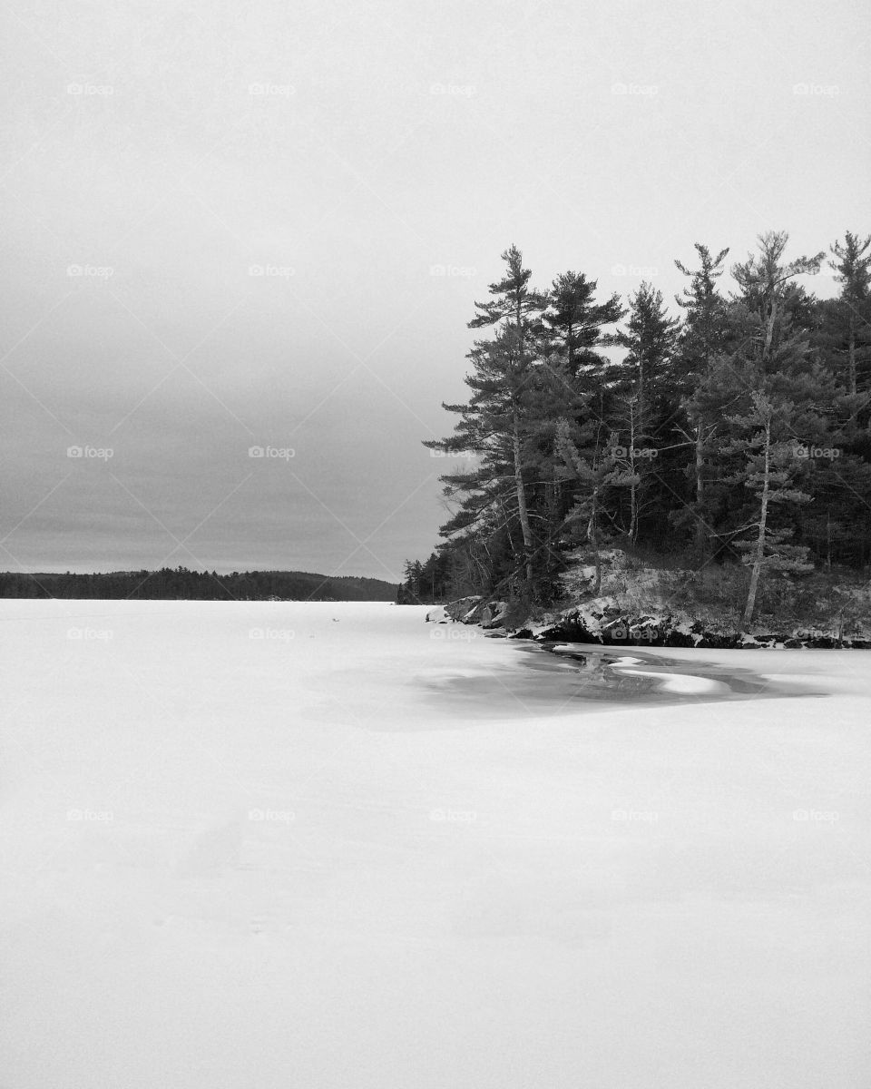 The cold of cross country skiing on a lake in Maine was well worth it, just to see this island covered in snow. 