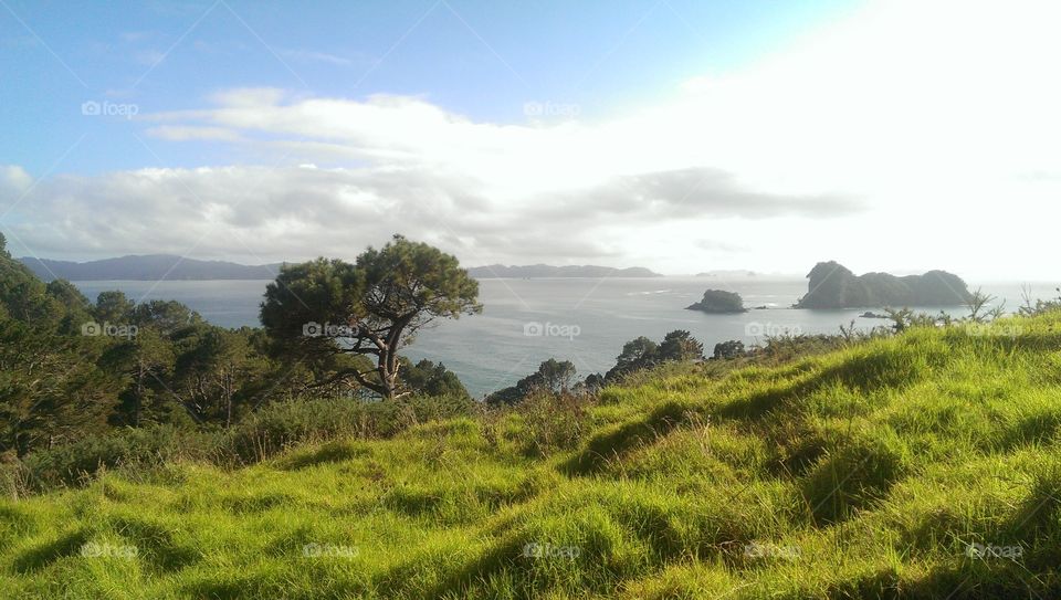 Scenic view of cliff at sea