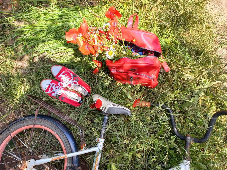 bicycle and red poppies.