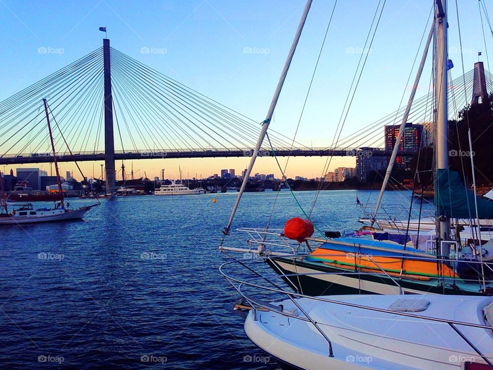 Anzac Bridge View