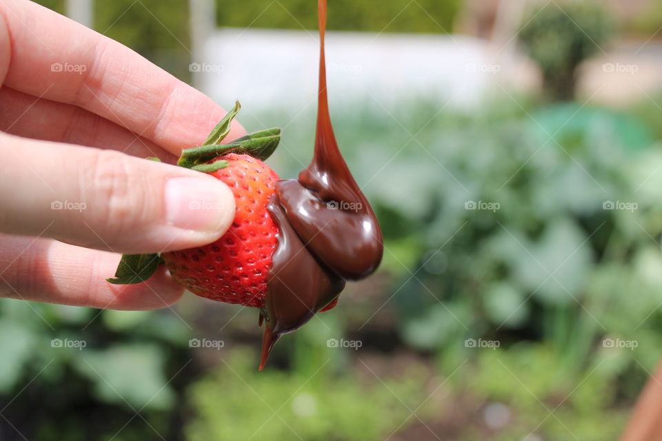 chocolate strawberry