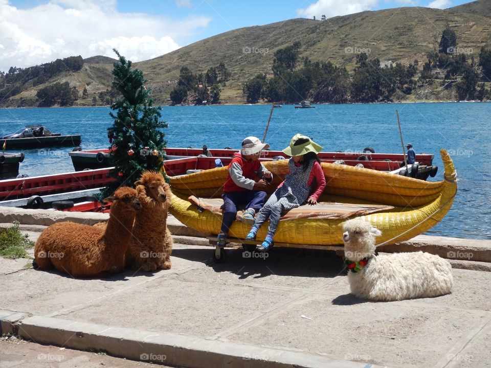 Kids and Alpakas @ Lake Titicaca 