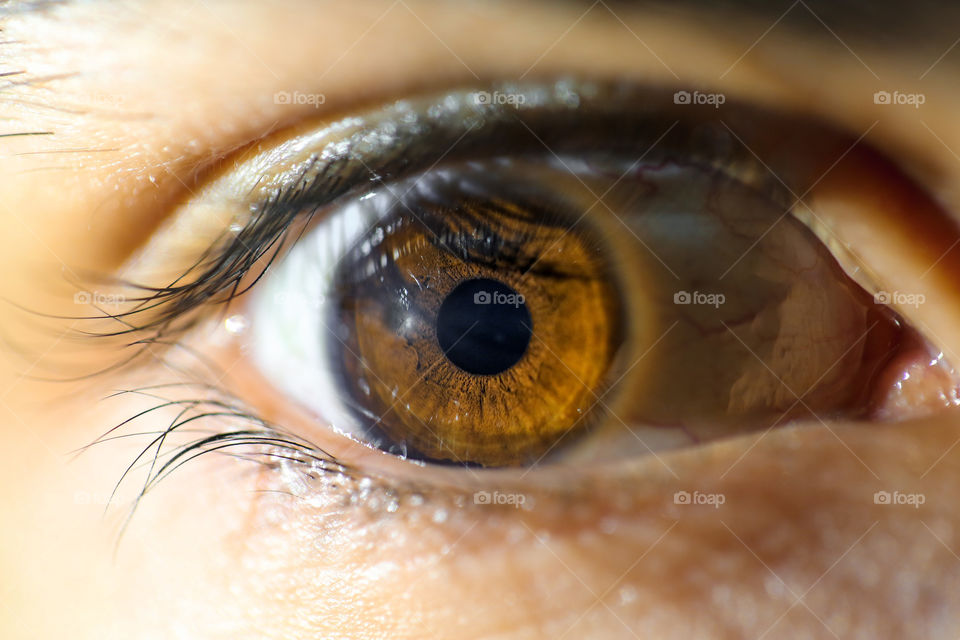 Beautiful and detailed close up of a hazel-green eye